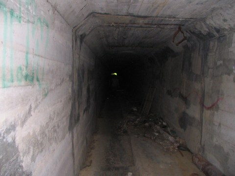 Most People Have No Idea This Unique Tunnel In Kentucky Exists