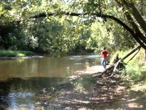 This Terrifying Swinging Bridge In Wisconsin Will Make Your Stomach Drop