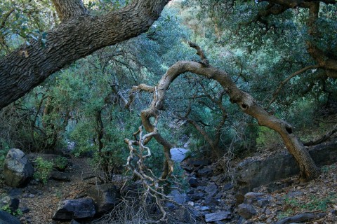 This Underrated National Monument Just Might Be The Most Beautiful Place In New Mexico