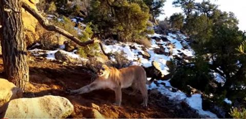 You May Forget To Breathe When Watching This Footage Taken In Utah