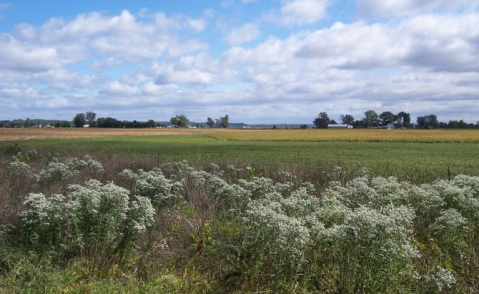 This Underrated State Park Just Might Be The Most Beautiful Place In Missouri