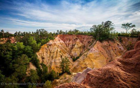 Mississippi's Little Grand Canyon Is Too Beautiful For Words