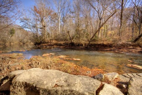 This One Easy Hike In Mississippi Will Lead You Someplace Unforgettable