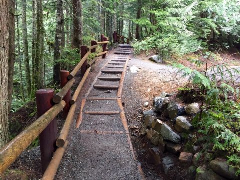 Enjoy Scenic Views While Hiking The Franklin Falls Trail In Washington