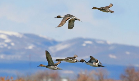 This Little Known Natural Oasis Is Hiding In Utah...And You’re Going To Love It