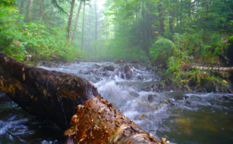 Visiting This One Place In Vermont Is Like Experiencing A Dream