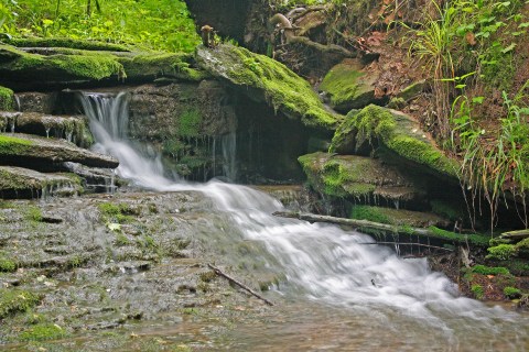 This One Easy Hike In Kentucky Will Lead You Someplace Unforgettable