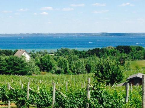 This Trail Through Michigan's Gorgeous Wine Country Is Truly Unforgettable