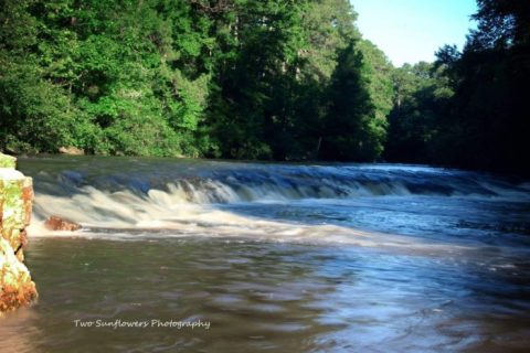 This Swimming Spot Has The Clearest, Most Pristine Water In Louisiana