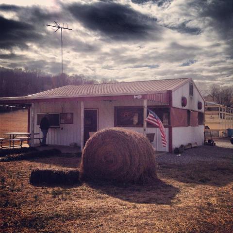 This Tiny Shop In Tennessee Serves Barbeque To Die For