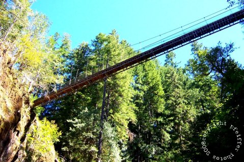 This Terrifying Swinging Bridge In Oregon Will Make Your Stomach Drop