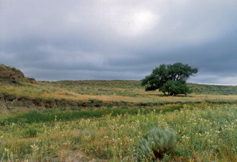 Spend The Night At Colorado's Most Haunted Campground For A Truly Terrifying Experience