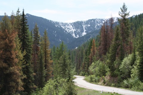 There's A Little Known Historic Road In Idaho... And It's Truly Breathtaking