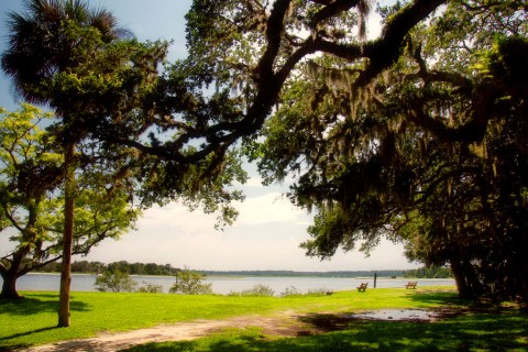 You Haven't Lived Until You've Experienced This One Incredible Park In Florida