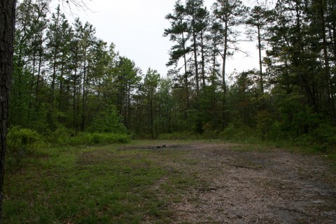 Staying At North Carolina's Most Haunted Campground Will Absolutely Terrify You