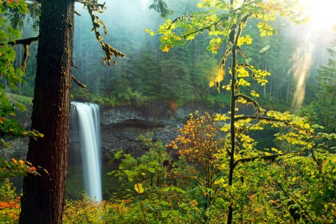 You Haven't Lived Until You've Experienced This One Incredible State Park In Oregon