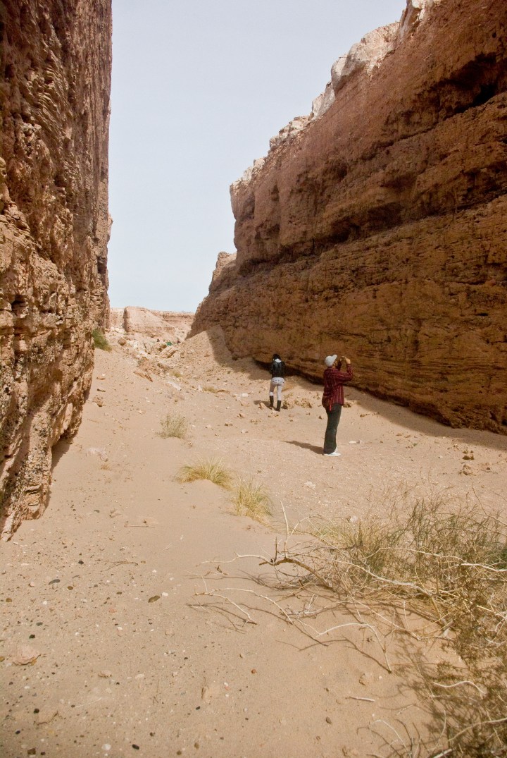 Double Negative Michael Heizer Nevada