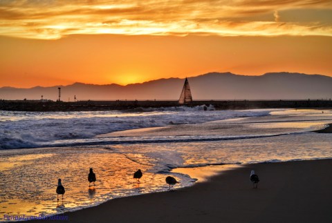 This Beautiful Beach In Southern California Is A Hidden Gem With A Clever Name And A Sweet Surfing History