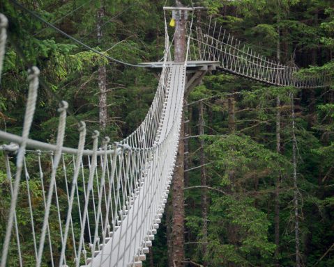 These Terrifying Swinging Bridges In Alaska Will Make Your Stomach Drop