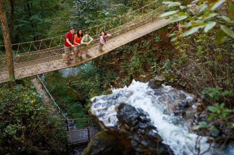 This Swinging Bridge In Tennessee Will Make Your Stomach Drop