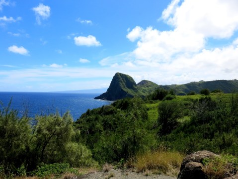 Take A Break From The Beach To Explore The True Tropical Paradise In Maui