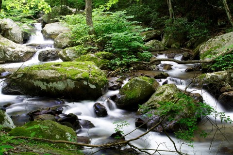 This Little Known Trail In West Virginia Is The Perfect Place To Get Away From It All