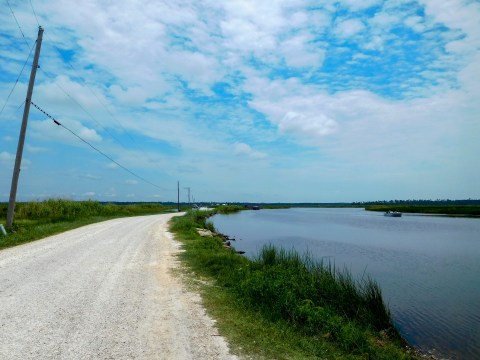 This Road In Louisiana Will Lead You To The Best Views On The Bayou