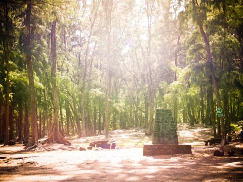 The Story Behind This Haunted Hawaii Park Is Truly Terrifying