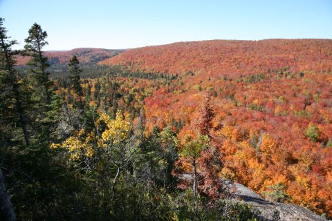 What's Waiting For You At The End Of These 9 Minnesota Hikes Will Leave You In Awe