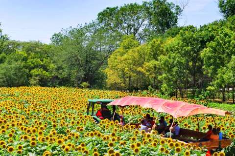 15 Destinations Everyone In Nebraska Needs to Visit This Summer