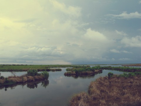 These 8 Gorgeous Waterfront Trails in New Orleans Are Perfect For A Summer Day