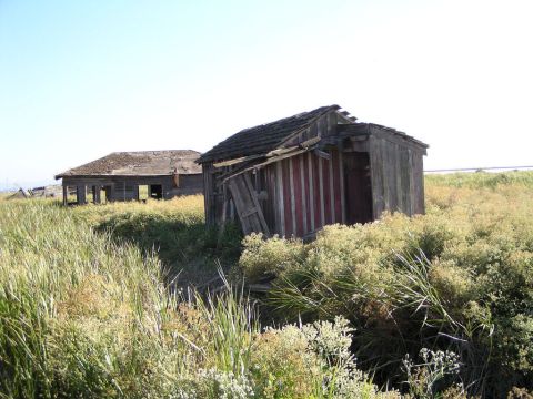 What This Drone Footage Captured At This Abandoned Northern California Ghost Town Is Truly Grim