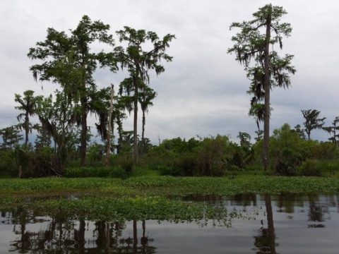 Spend The Night At Louisiana’s Most Haunted Campground For A Truly Terrifying Experience