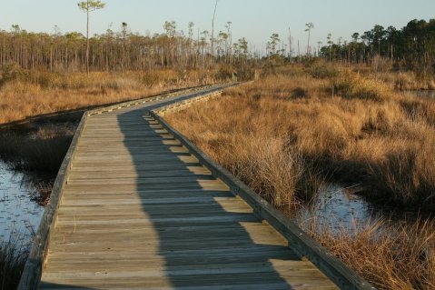 6 Incredible Hikes Under 5 Miles Everyone Around New Orleans Should Take