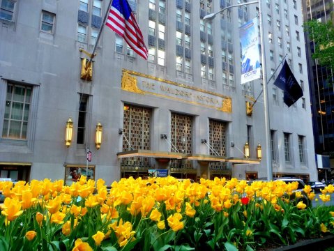 Something Truly Heartbreaking Is Happening To This Iconic New York Landmark