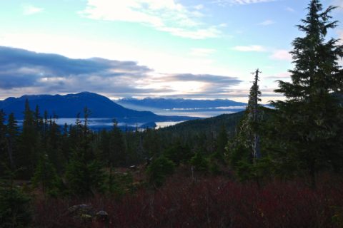 There's Something Incredibly Unique (And Dangerous) About This One Island In Alaska