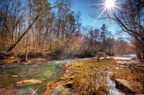 These 10 Gorgeous Waterfront Trails In Mississippi Are Perfect For A Summer Day