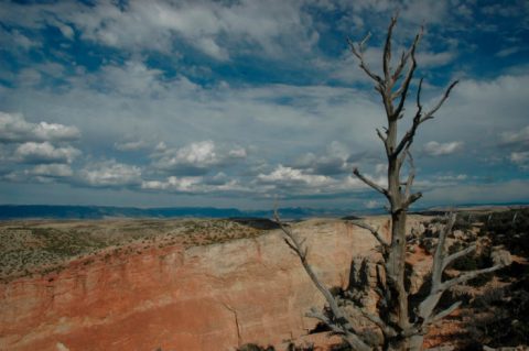 You Haven't Lived Until You've Experienced This One Incredible Canyon In Wyoming