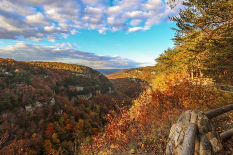 These 10 Scenic Mountain Hikes In Georgia Will Leave You Speechless