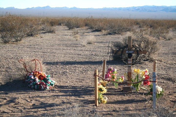 haunted pet cemetery