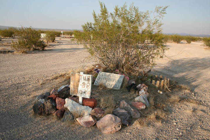 haunted pet cemetery