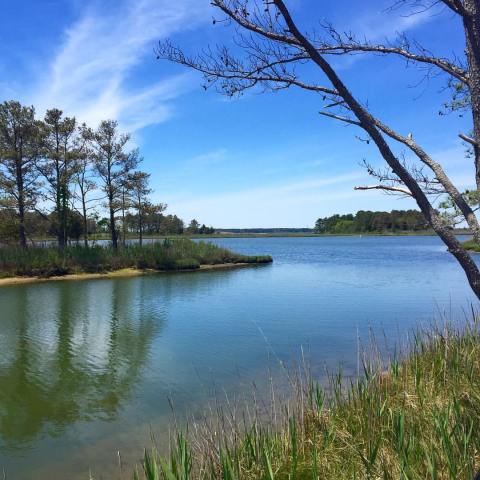 4 Spectacular Spots In Delaware Where You Can Camp Right On The Beach