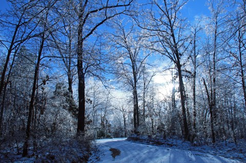 You May Not Like These Predictions About Kentucky's Positively Frigid Upcoming Winter