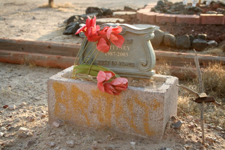 haunted pet cemetery