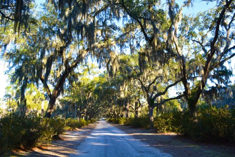 The Story Behind The Most Haunted City In America Is Truly Terrifying