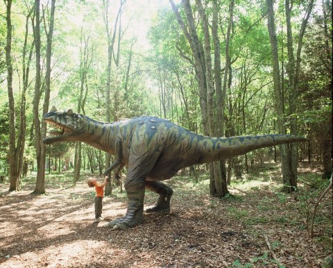 Most People Have No Idea This Unique Park In Connecticut Exists