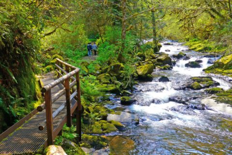 10 Easy Hikes To Add To Your Outdoor Bucket List In Oregon