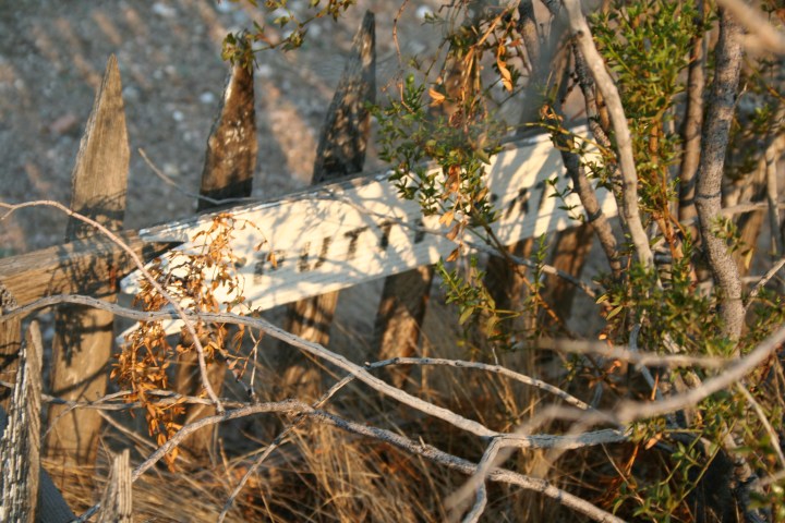 haunted pet cemetery