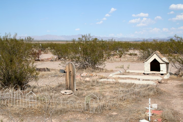 haunted pet cemetery