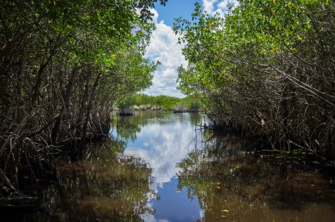 Here Are The 8 Most Dangerous, Deadly Places In Florida